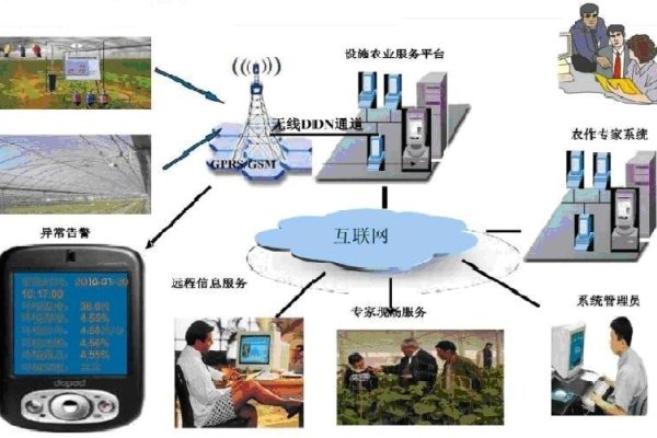 商务信息与网站综合服务保障-百挑一