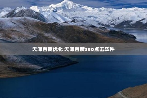 天津百度整站优化服务，打造高效网络体验的关键-百挑一