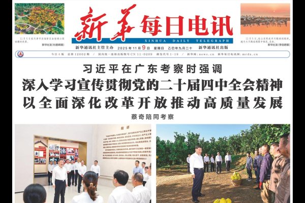 天津网站设计的新篇章,成功柚米的创新之路-百挑一