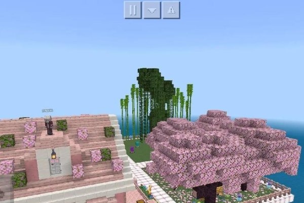 我的世界租赁服作用解析，游戏多人服务器体验探讨-百挑一