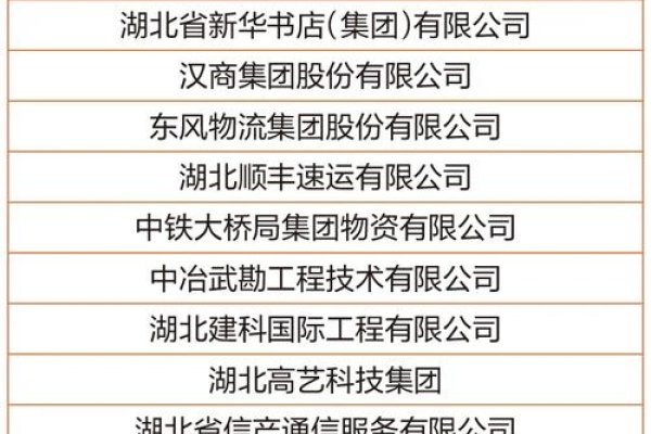 武汉网站设计公司哪家强？专业策划与设计的公司榜单解析。-百挑一