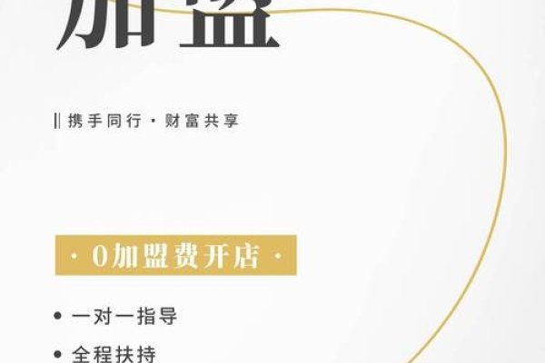 万网代理加盟，专业营销解决方案助力品牌扩张-百挑一