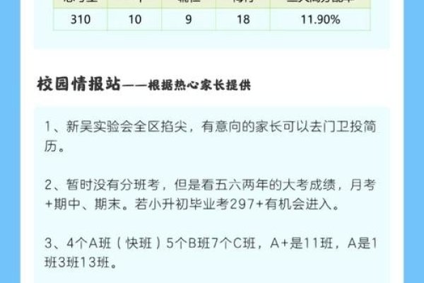 无锡SEO排名，新吴实验中学的搜索优化策略-百挑一