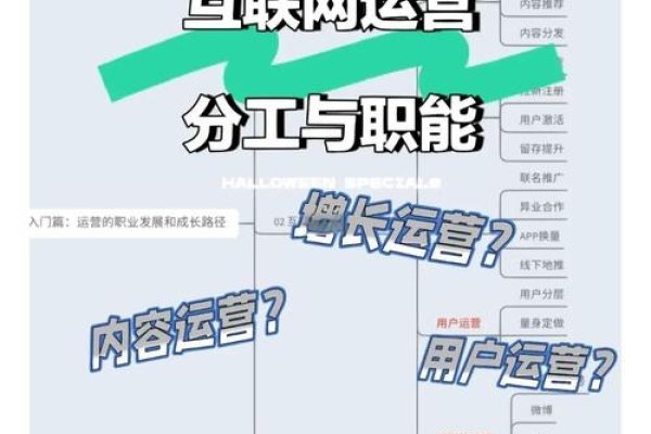 网站管理员职责概览，网络维护与平台运营核心任务-百挑一