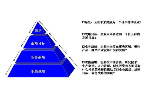 网站公司的发展战略-百挑一