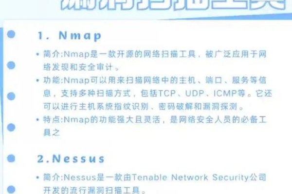 网站漏洞扫描工具,安全与隐私的双重保障-百挑一