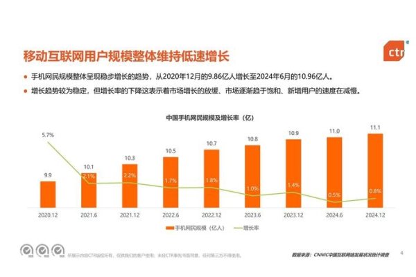 网站优化行业前景展望-百挑一