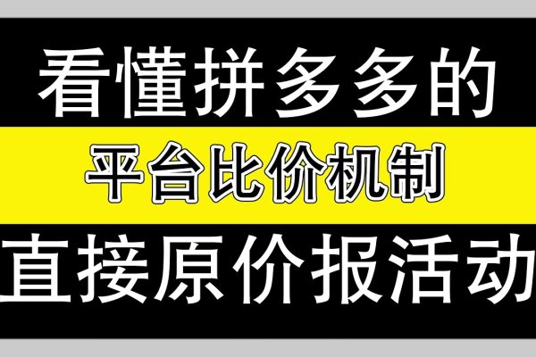拼多多淘宝代运营,一站式解决方案-百挑一