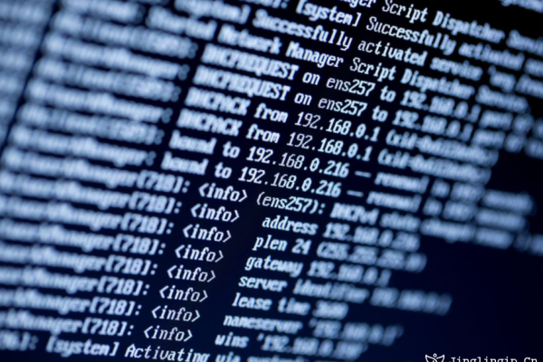 稳定换IP软件，网络环境下的高效工具-百挑一