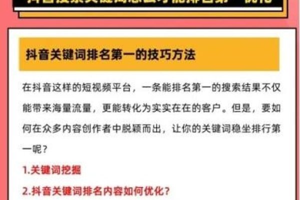丹东抖音SEO案例解析，成功的背后故事-百挑一