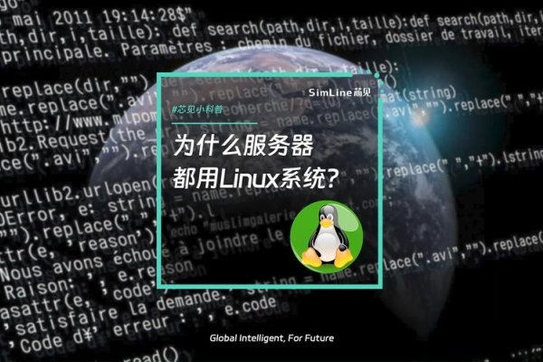 免费Linux服务器,探索与利用-百挑一