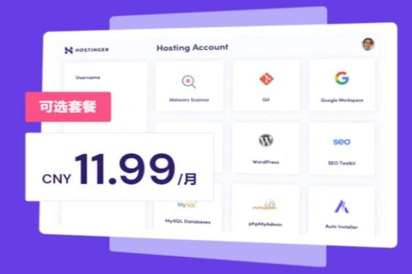 免费虚拟主机2023,选择与使用指南-百挑一