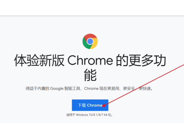 谷歌浏览器在中国使用指南-百挑一