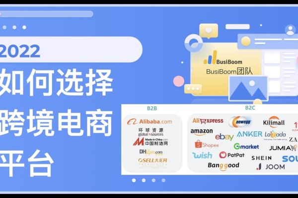 跨境电商平台销售排名及特点分析-百挑一