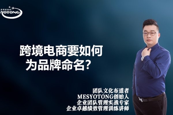 跨境电商公司命名之道-百挑一