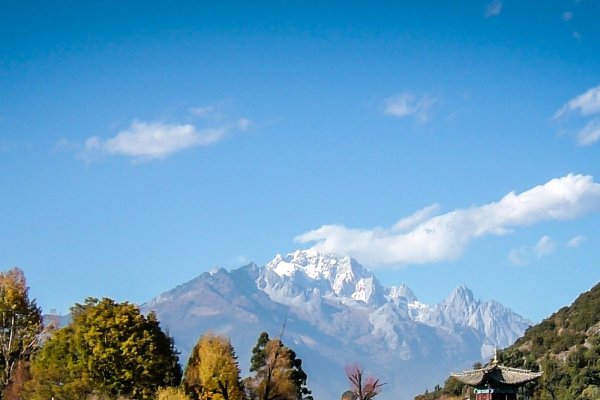 丽江短视频公司运营及抖音电商酒店业务增长趋势分析-百挑一