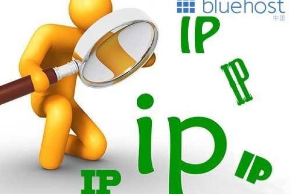 先进的SEO服务，站群服务器选择与生成式引擎优化策略-百挑一