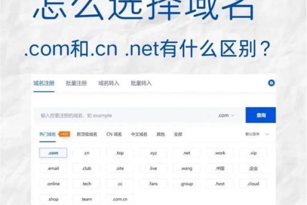 顶级域名查询-百挑一