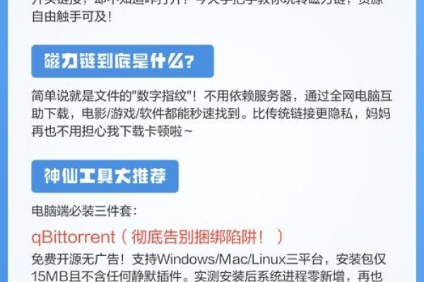 磁力链使用指南-百挑一