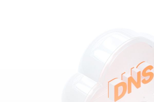 域名解析在线，快速、便捷的在线域名解析服务-百挑一