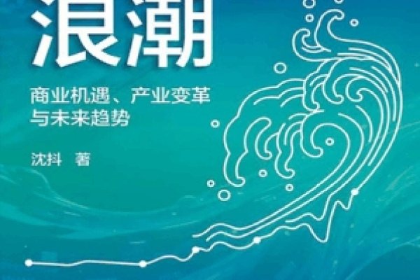 厦门SEO传播,探索数字营销的无限可能-百挑一