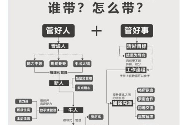 南宁如何构建高效的SEO团队-百挑一