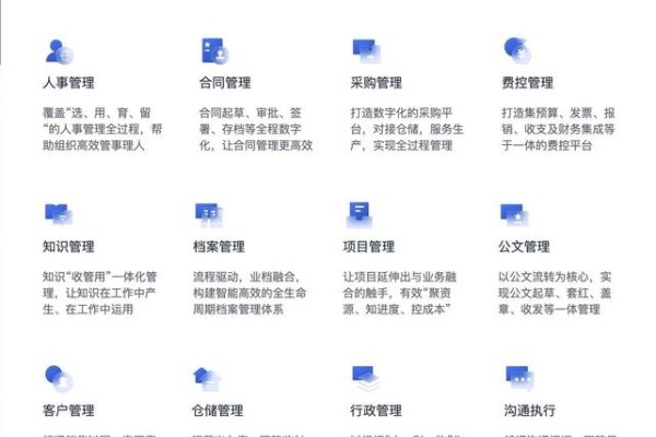 OA办公系统概述及操作指南，实现高效协同与管理效能提升-百挑一