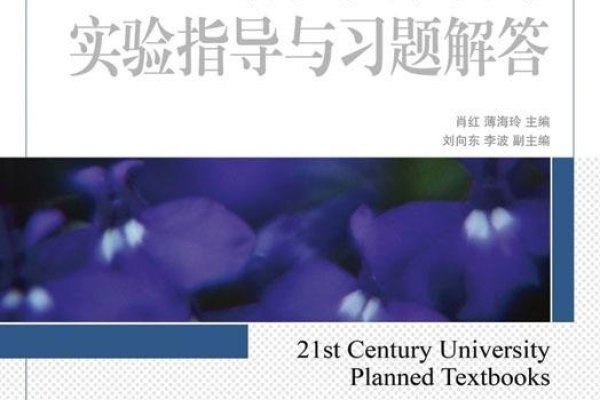 VB程序设计实验报告答案与程序工作方式解析-百挑一