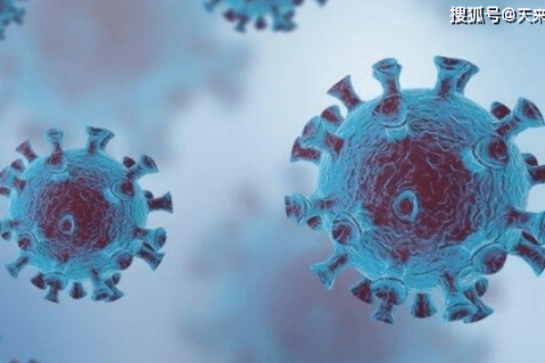 探索东莞求职新领域，2023年东莞找工作求职网站-百挑一