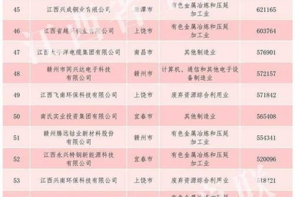 南昌关键词优化公司排名榜，竞价托管必要性及其关键策略-百挑一