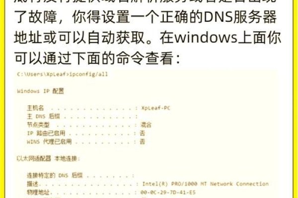 西柚加速器网络错误解决方案-百挑一