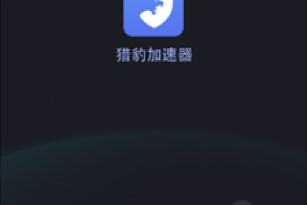 猎豹加速器下载官网，快速下载与高效加速的便捷通道-百挑一