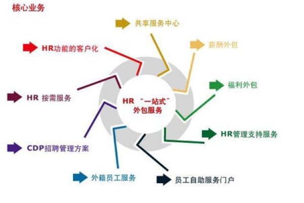 软件外包产业与服务外包产业的差异-百挑一