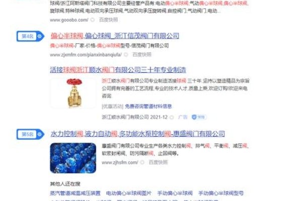 温州网站优化专业服务提供商推荐-百挑一
