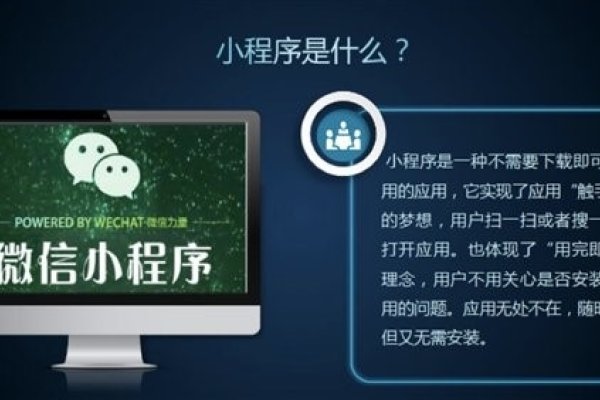 微信小程序电商模板，开启移动购物新篇章-百挑一