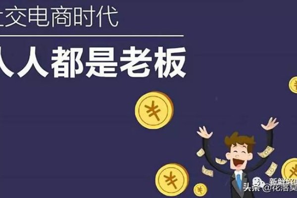 销售型电商平台，重塑零售格局的关键力量-百挑一