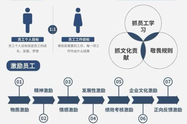 SEO顾问团队的专业优化策略与实践-百挑一