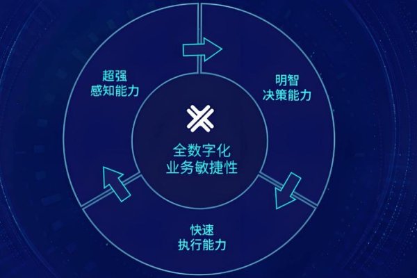CDN合作节点，推动数字化转型的关键力量-百挑一