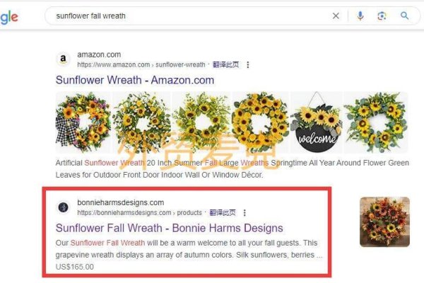 SEO建站演示,Shopify卖家如何提升网站SEO效果?干货教程!-百挑一