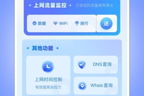 App流量查询工具，助力监控与管理移动应用性能的关键利器-百挑一