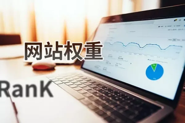 SEO推广,提升网站权重的重要性-百挑一