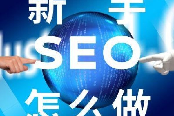 SEO56在线，探索前沿的搜索引擎优化之道-百挑一