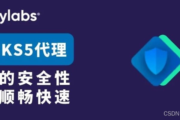 Socks5代理免费,你的网络隐私守护者-百挑一