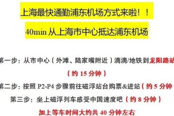 2023年免费VPS推荐及上海至浦东机场交通攻略-百挑一