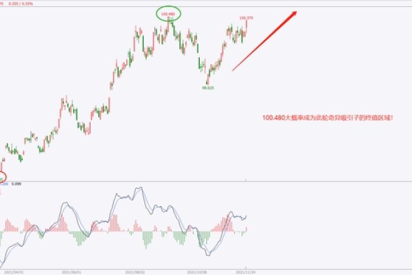 2021年，混沌与新开始的交织之年-百挑一