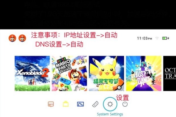 Switch加速器选择与使用方法-百挑一