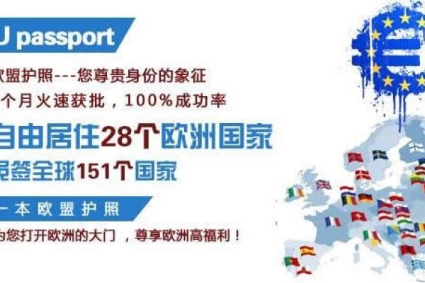 欧洲与美洲VPS，探索其优势与应用场景-百挑一