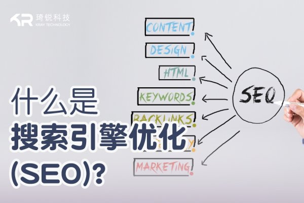 搜索优化（SEO）的含义与重要性-百挑一
