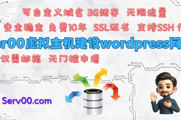 逍遥主机双线虚拟主机租赁，轻松搭建您的网络空间-百挑一