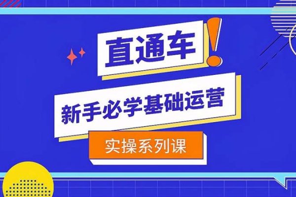 淘宝直通车关键词优化与出价策略-百挑一